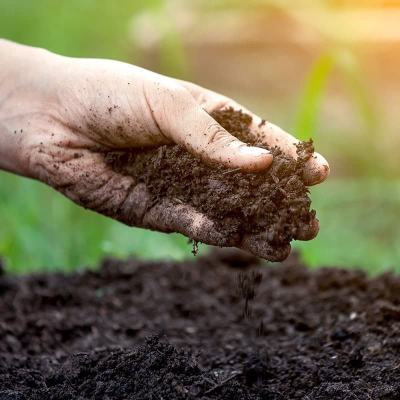 Kompost in der Landwirtschaft